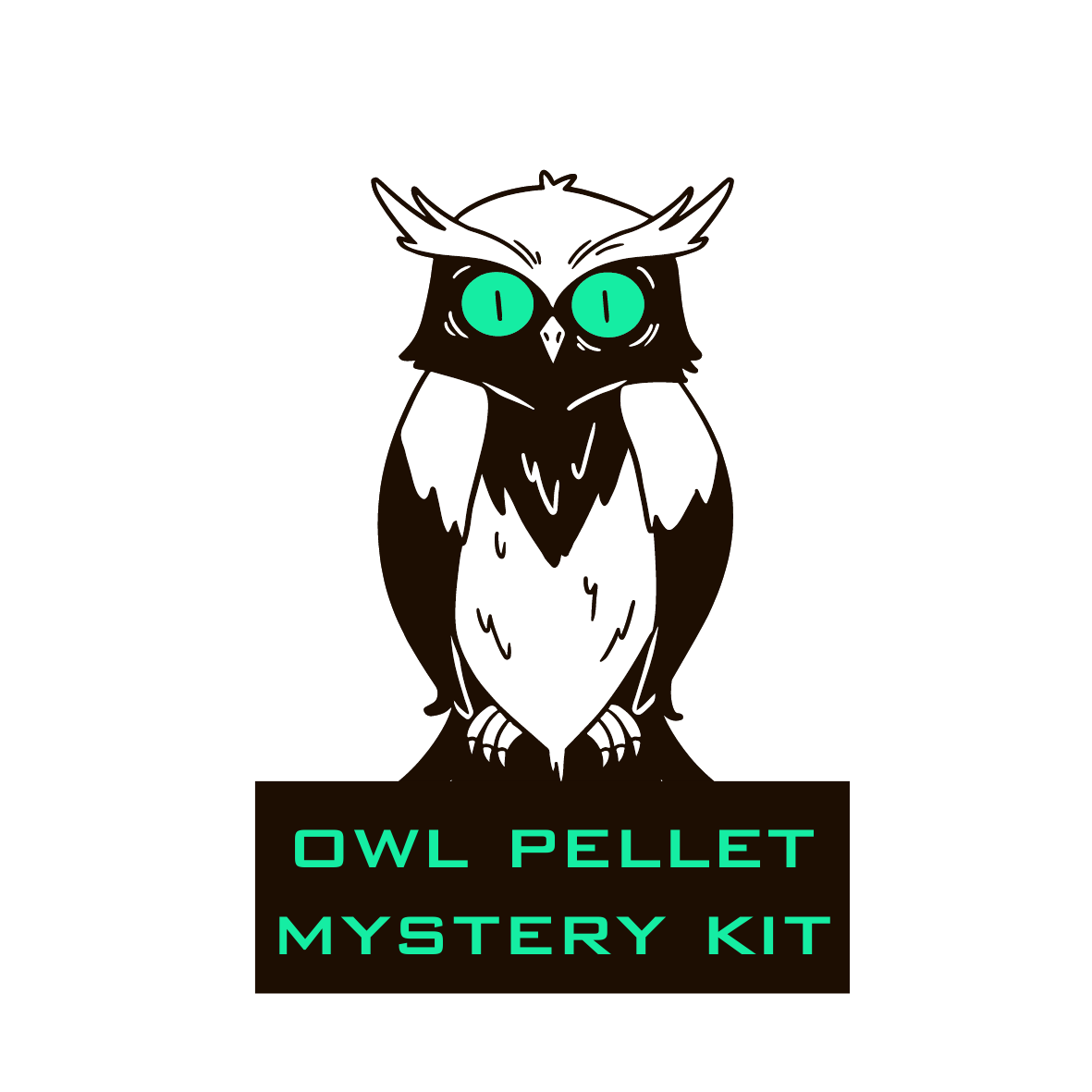 Owl Pellet Mystery Kit